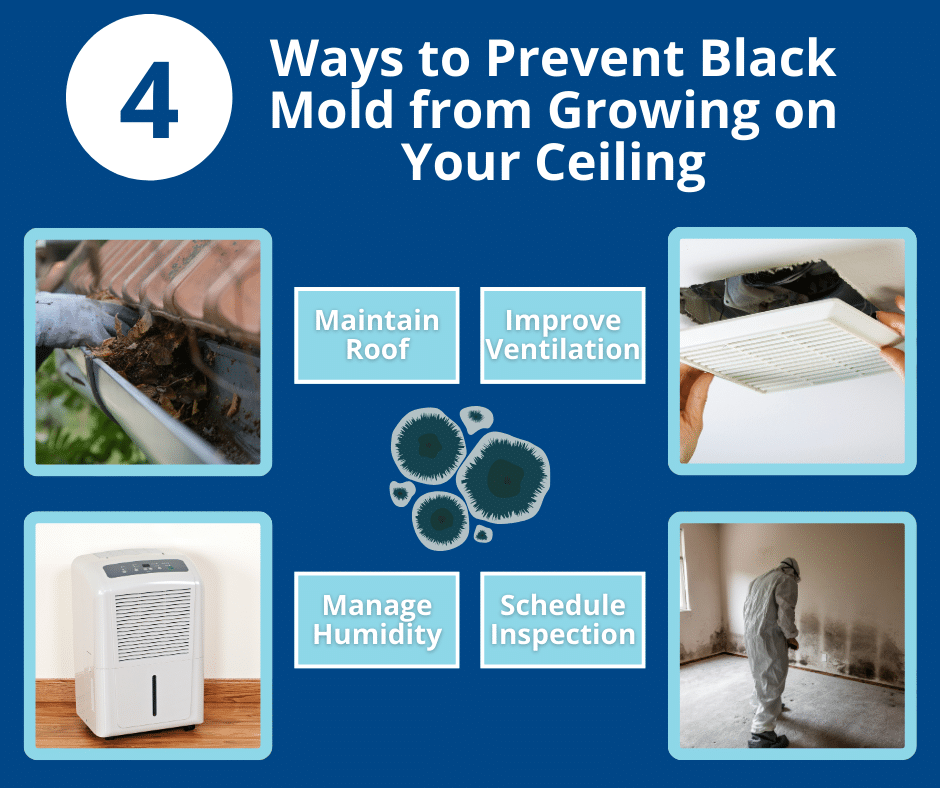 preventing mold in the future