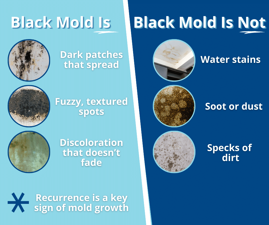 key factors that determine if you have black mold on ceiling