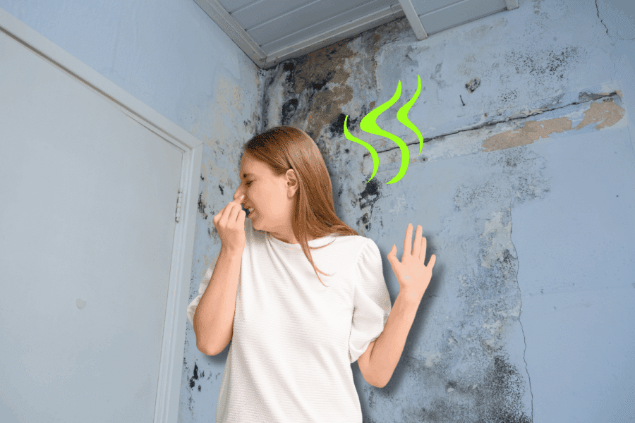 mold smell in house