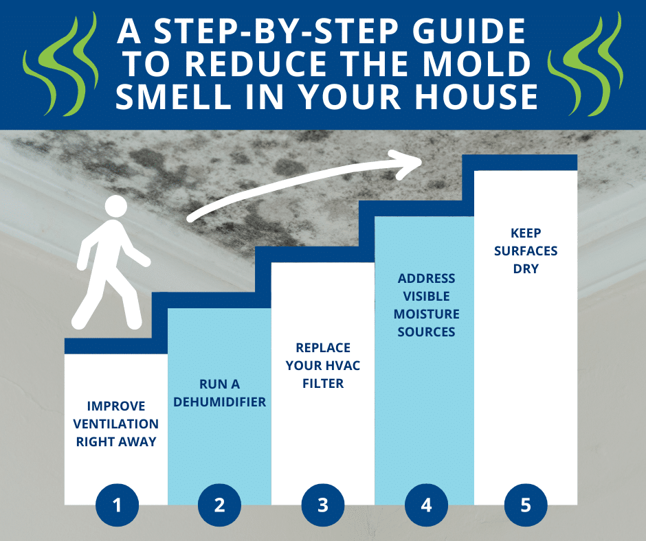 step-by-step guide to reduce the mold smell in your house