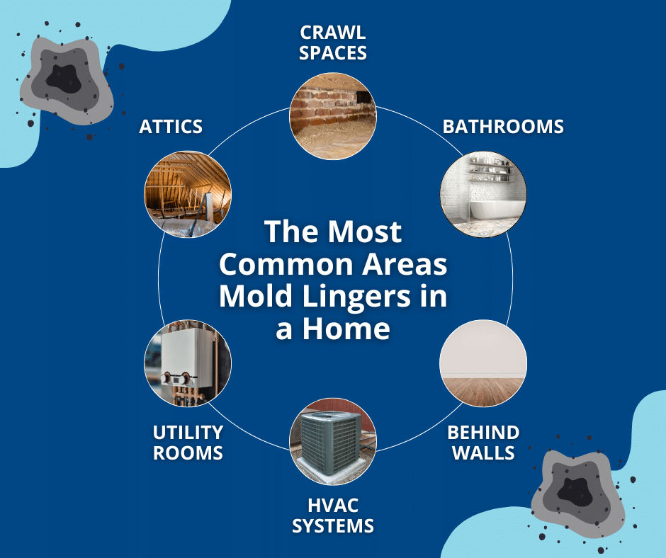 the most common areas mold lingers in a home