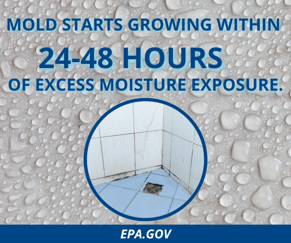 mold statistic