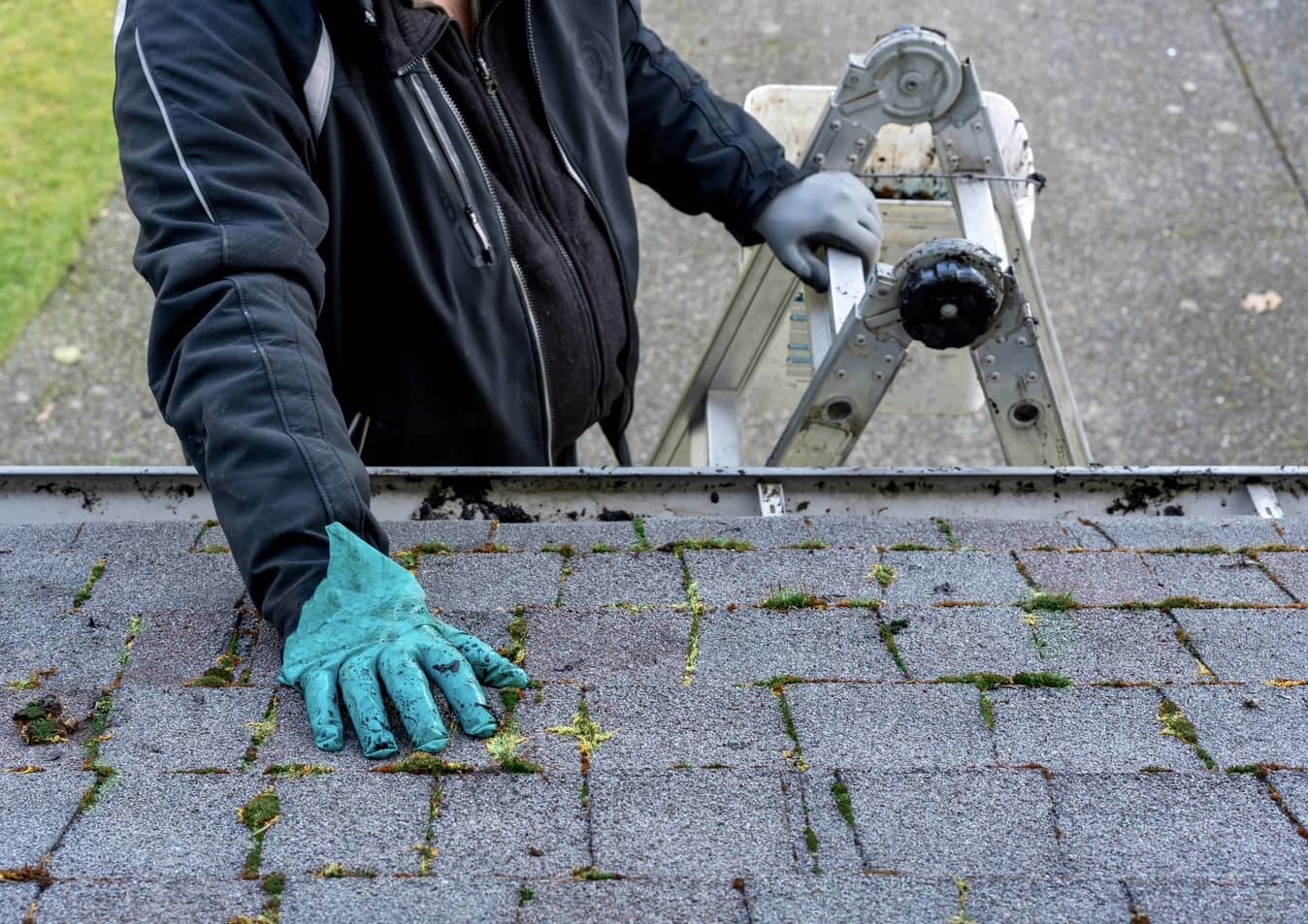 Roof being inspected