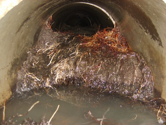 SEWER SCOPE DEFECT PHOTO