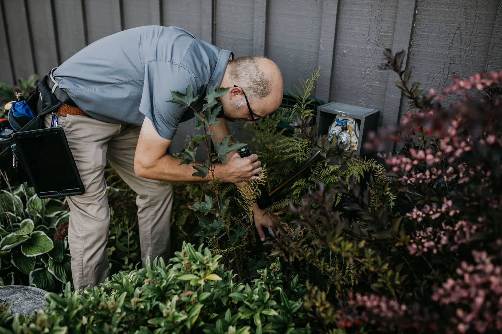 Irrigation Inspection