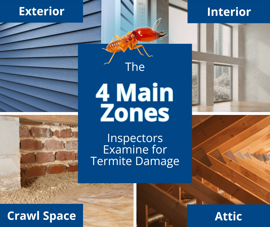 4 main zones inspectors examine for termite damage