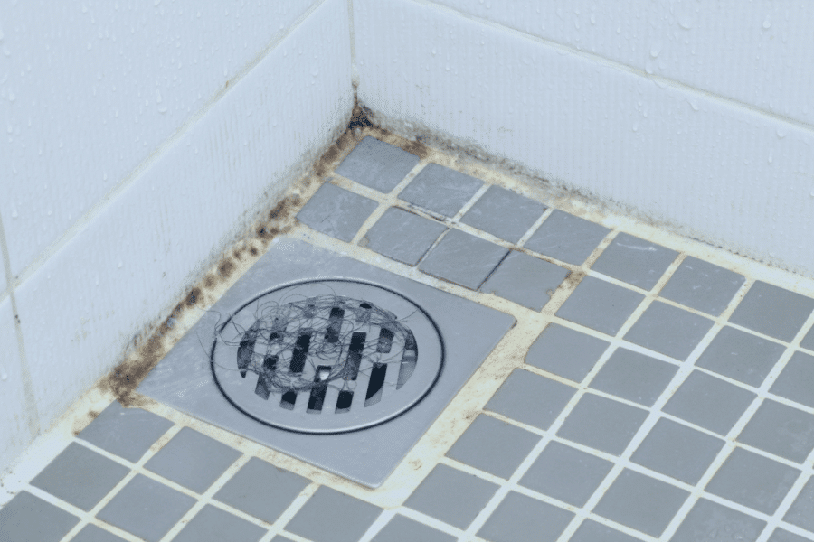 How to Remove Mold from Shower Before It Spreads