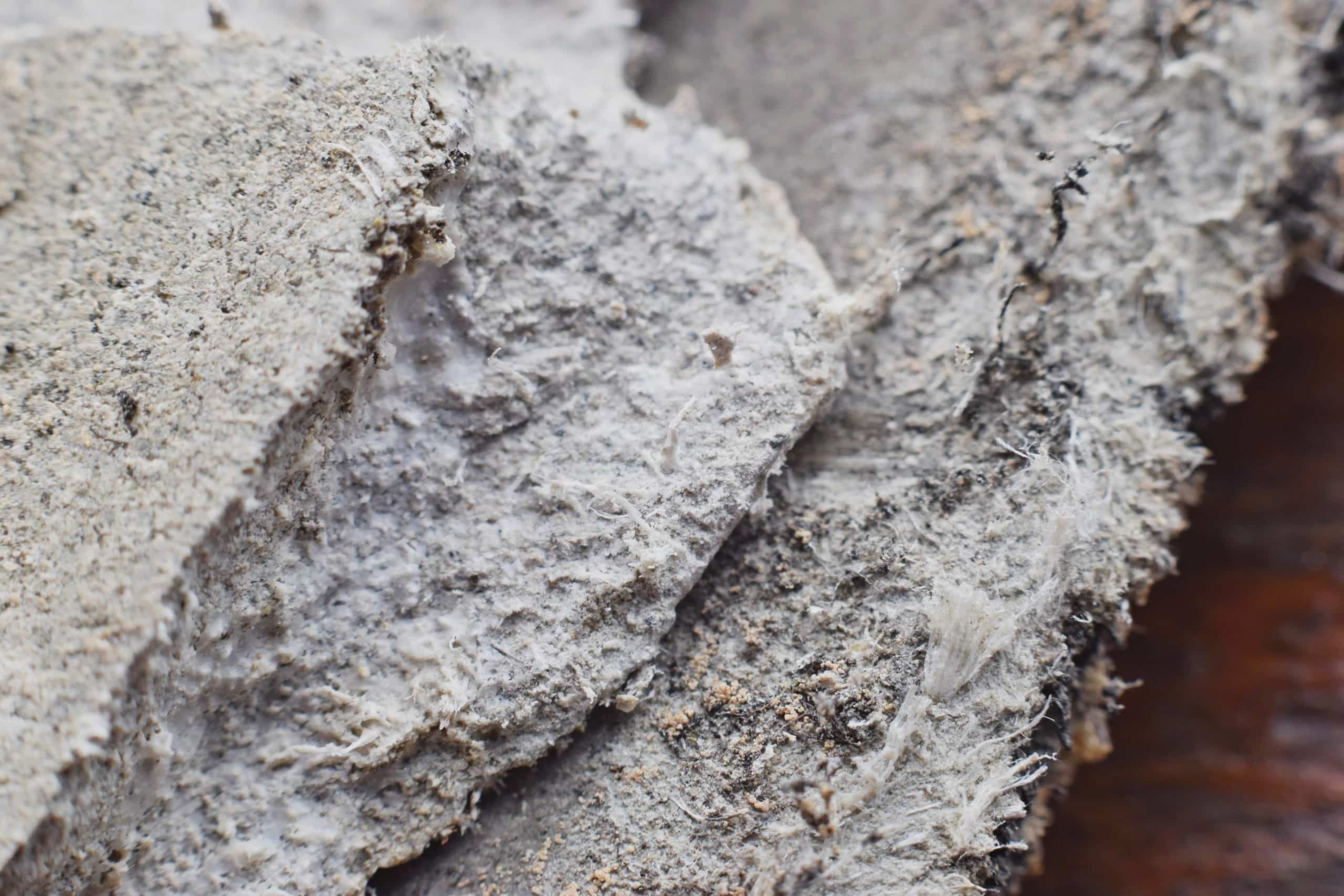 what does asbestos look like in plaster