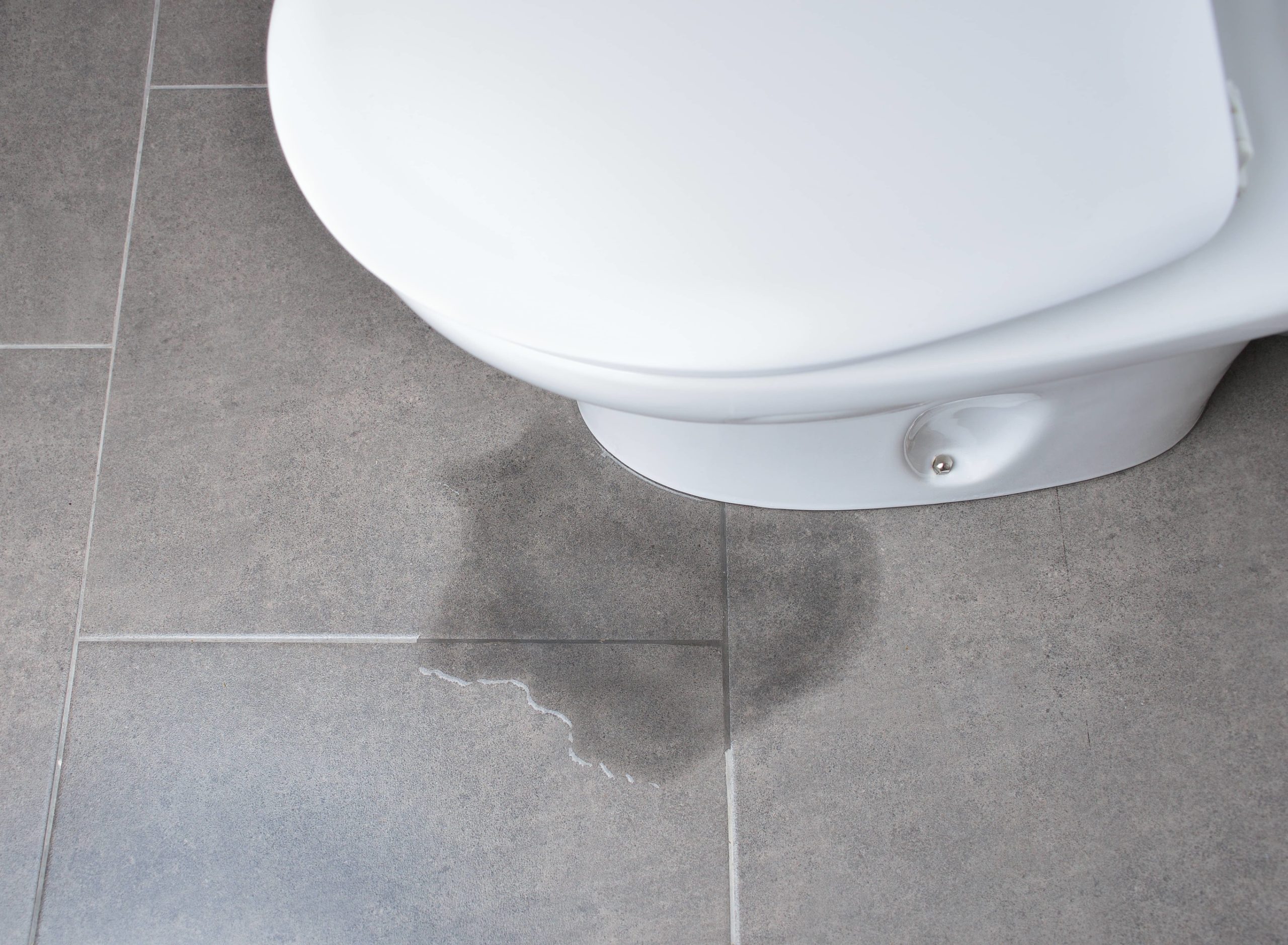 What to Do If the Toilet is Leaking at the Base Boggs Inspection Services