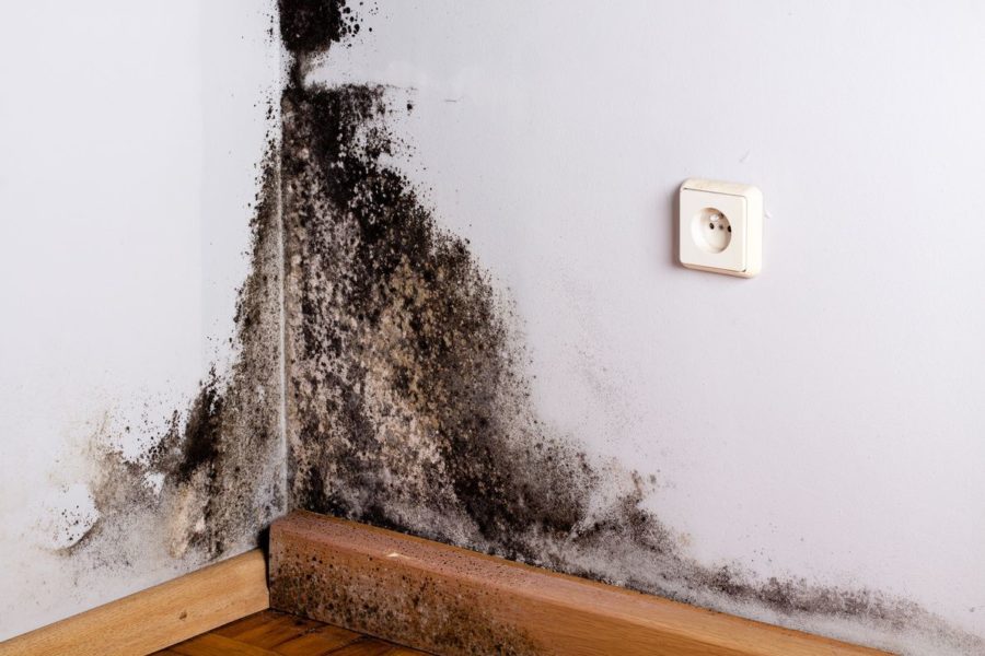 How to inspect your home for mold, room by room - The Washington Post