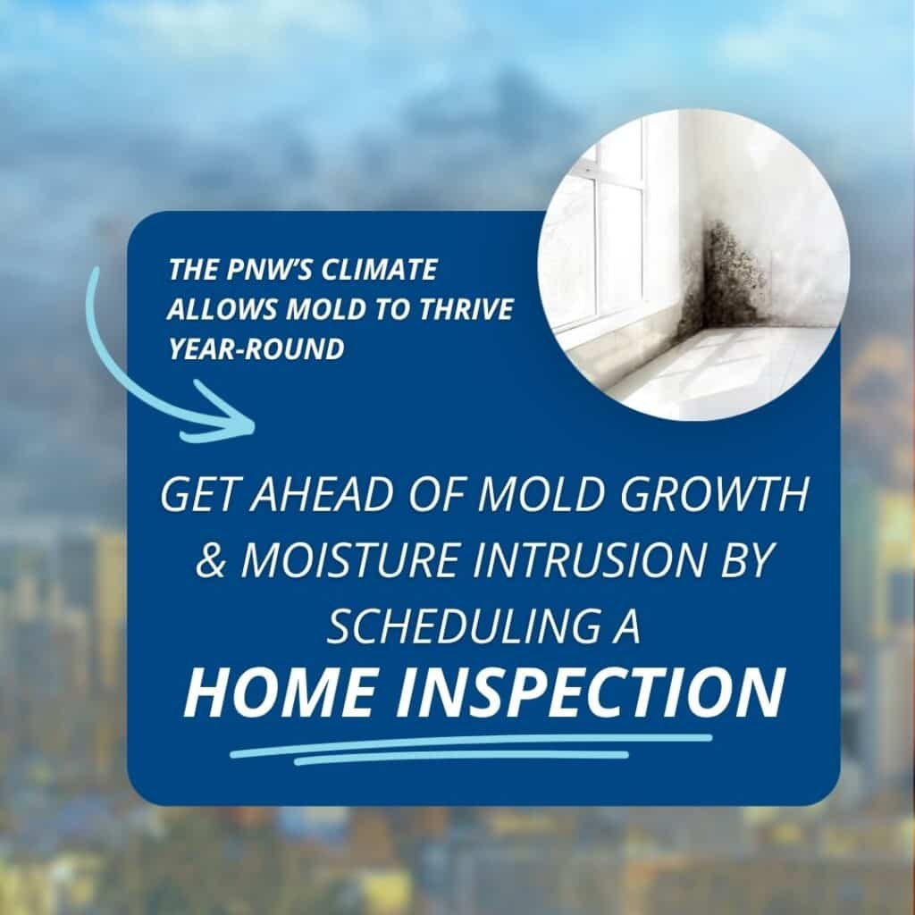 A graphic showing a circular photo of wall mold next to text reading, "THE PNW'S CLIMATE ALLOWS MOLD TO THRIVE YEAR-ROUND. GET AHEAD OF MOLD GROWTH & MOISTURE INTRUSION BY SCHEDULING A HOME INSPECTION."