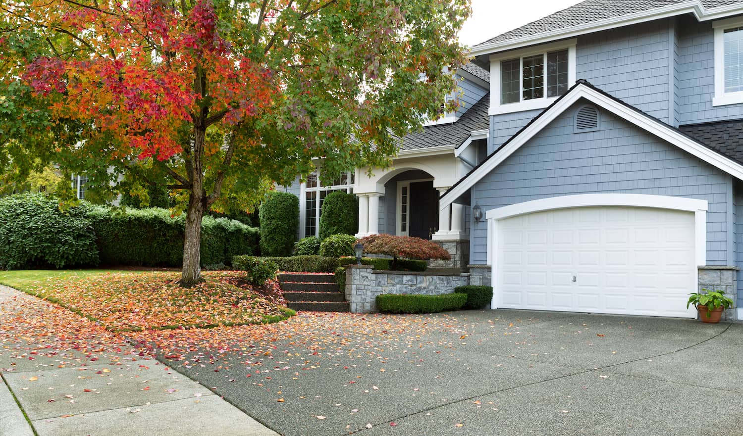 residential home in Washigton state maple tree with falling leaves