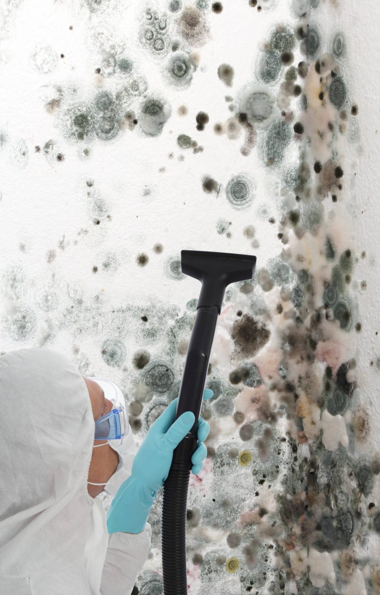 Can You Stay In The Home During Mold Remediation Boggs Inspection Services