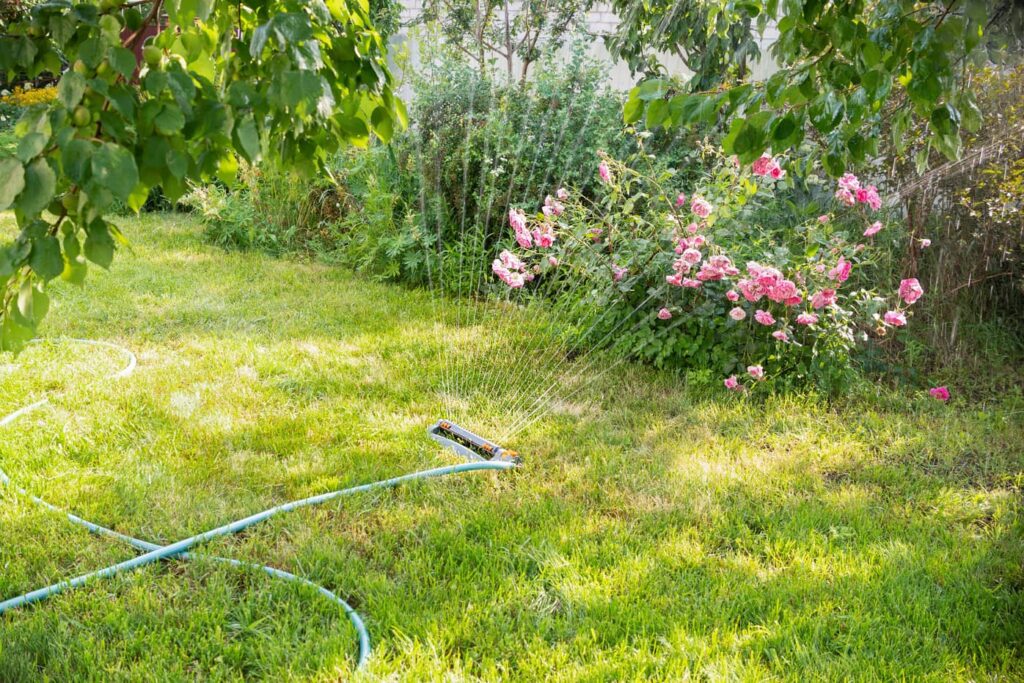 Irrigation is watering of the lawn or yard and this can be done with a sprinkler and a hose.