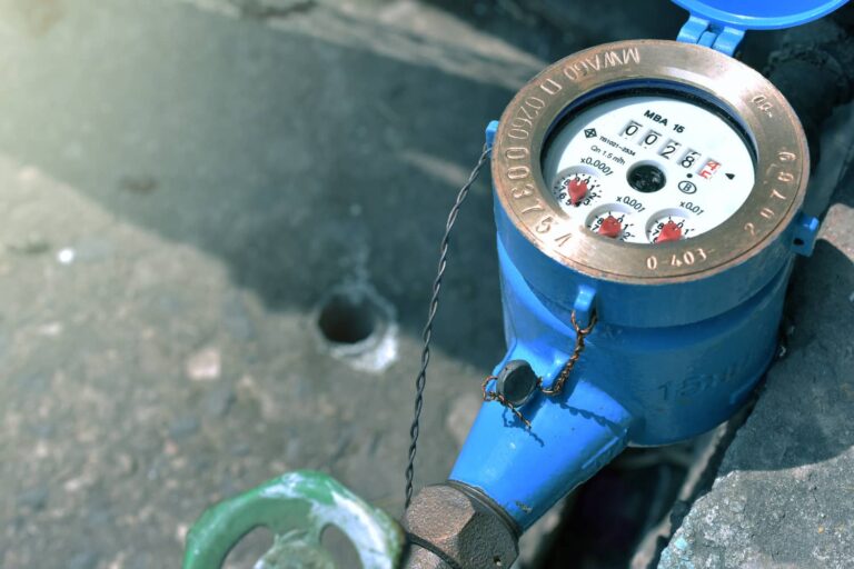 Where Is The Water Meter Located? Boggs Inspection Services