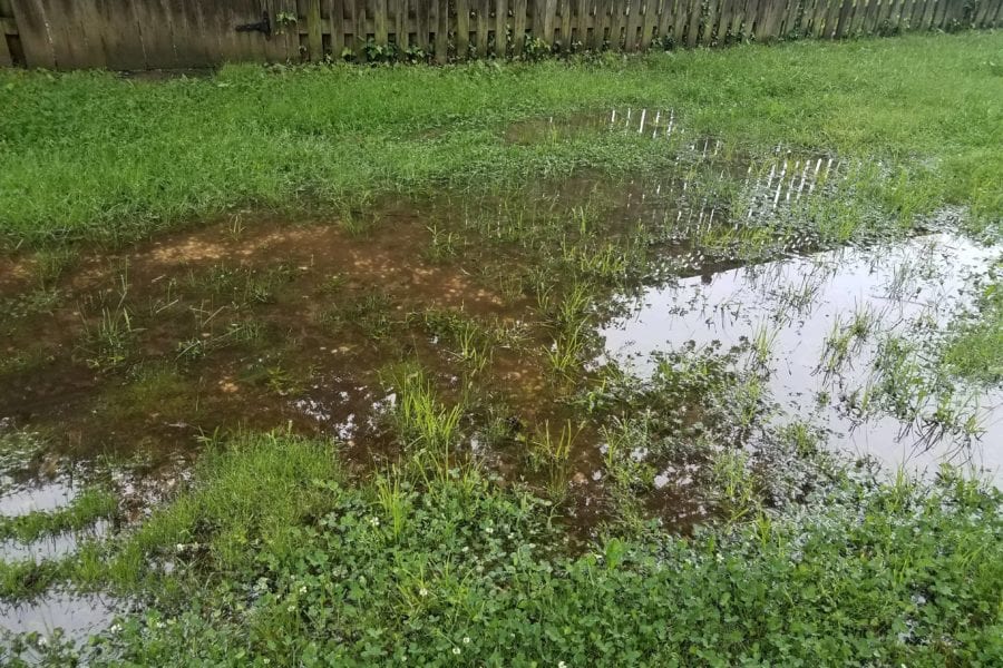 sump pump drain into yard