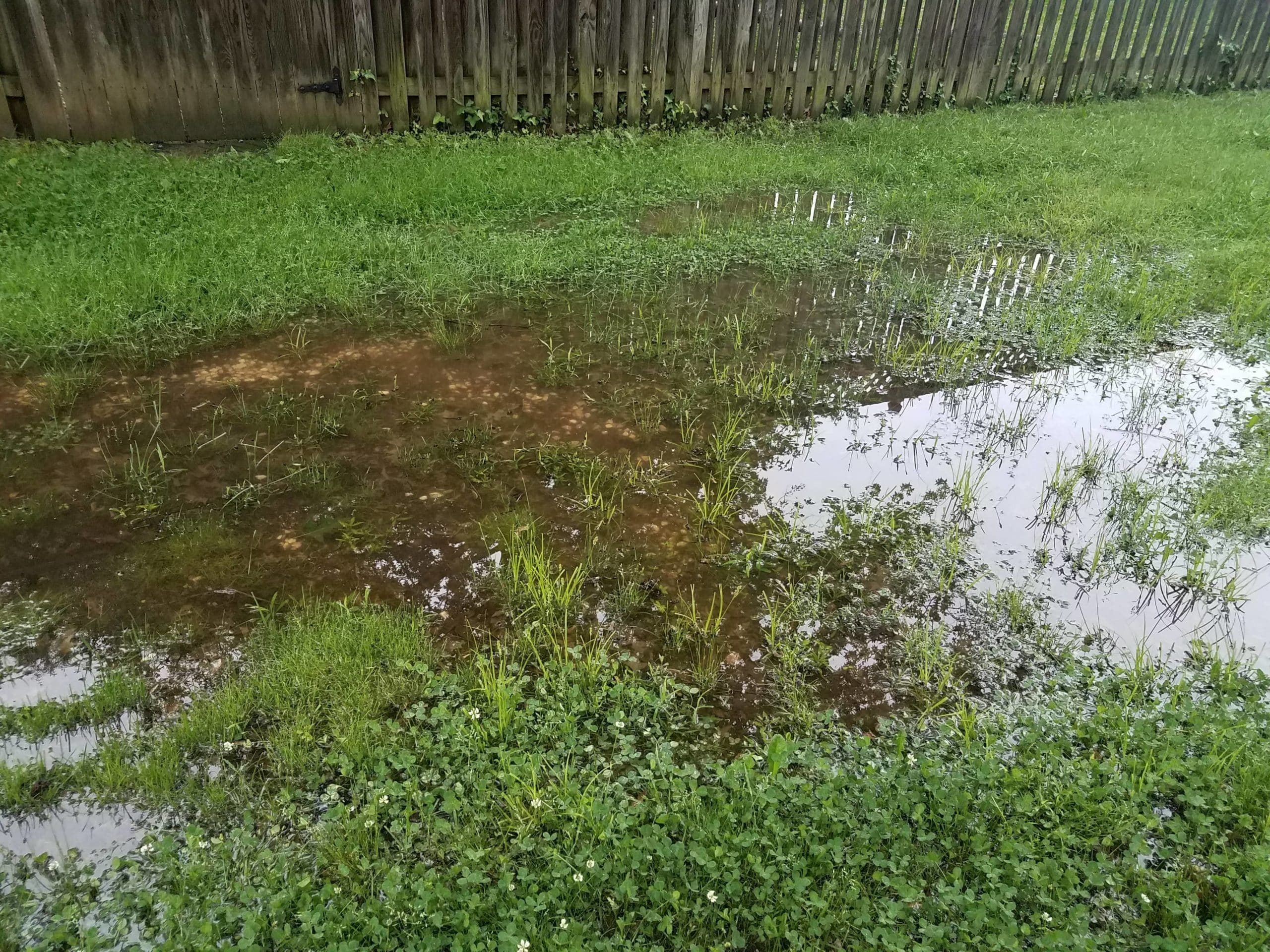 sump pump drain into yard